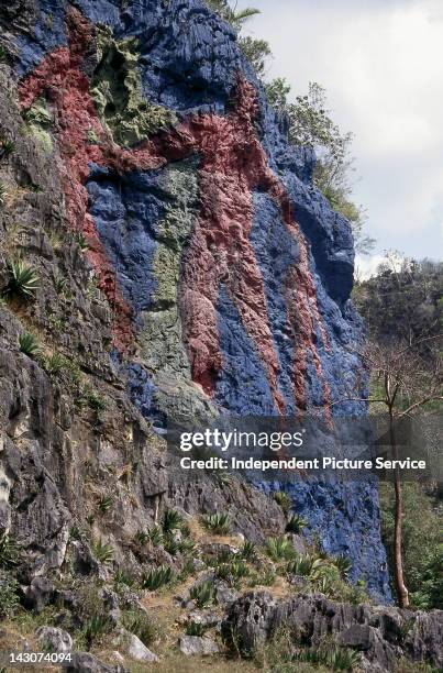 Mural de la Prehistoria measures 120 meters by 180 meters and depicts the evolution of humans. It was commissioned by Fidel Castro in the 1960?sand...