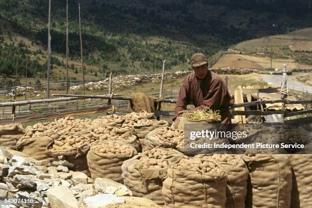 Farm worker and sacks of potatoes, Kingdom of Bhutan.