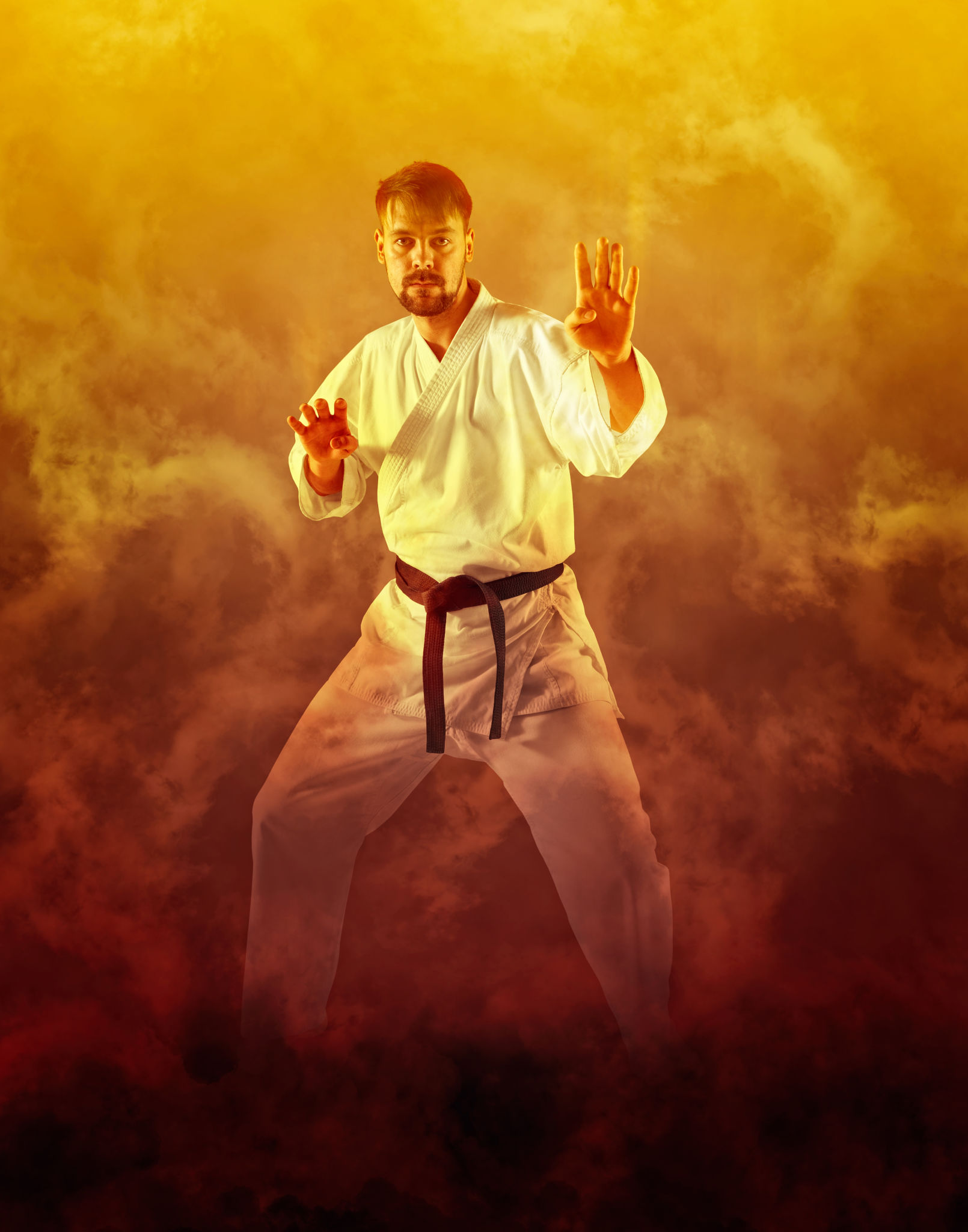 Martial arts masters on fire background Martial arts masters on fire background