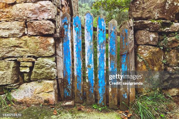 old wooden gate painted blue - wooden fence bildbanksfoton och bilder