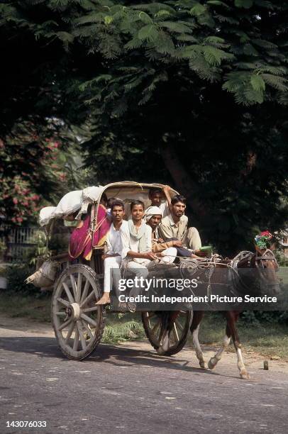 29 Two Wheeled Cart Pulled By Horses Photos and Premium High Res Pictures - Getty Images 29 Two Wheeled Cart Pulled By Horses Photos and Premium High Res Pictures - Getty Images