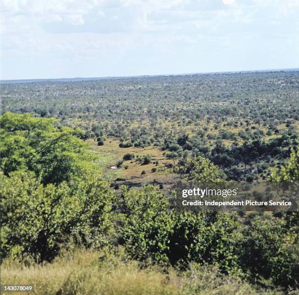 Rural landscape in Transvaal, South Africa.