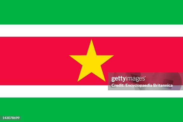 Flag Of Suriname.