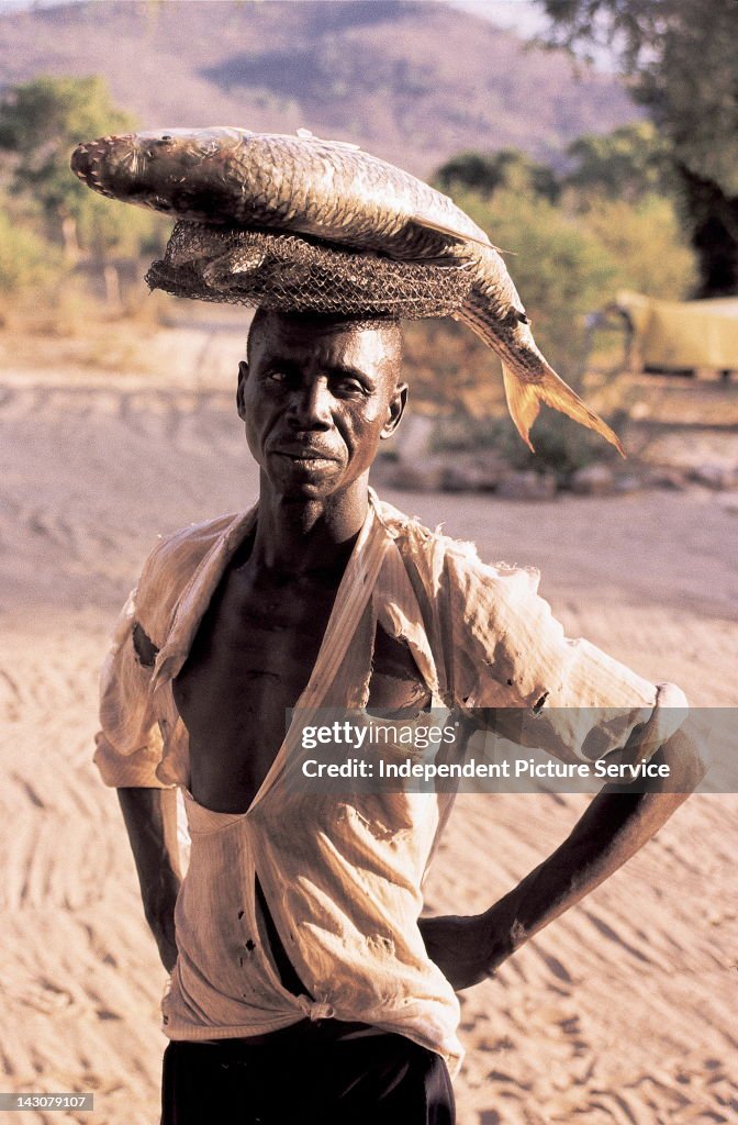 Man balancing a Tiger Fish on his head