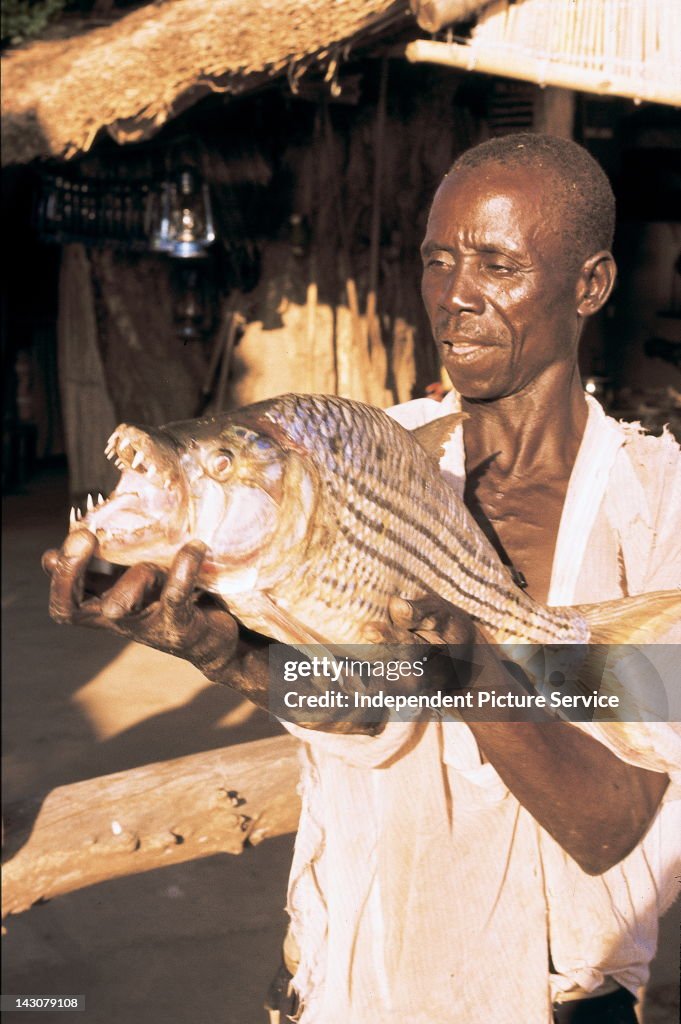 Man holding a Tiger Fish from Lake Kariba