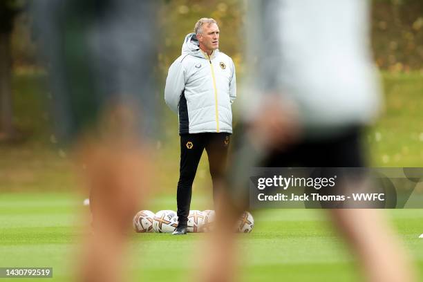 Steve Davis, Interim Head Coach of Wolverhampton Wanderers looks on during a Wolverhampton Wanderers Training Session at The Sir Jack Hayward...