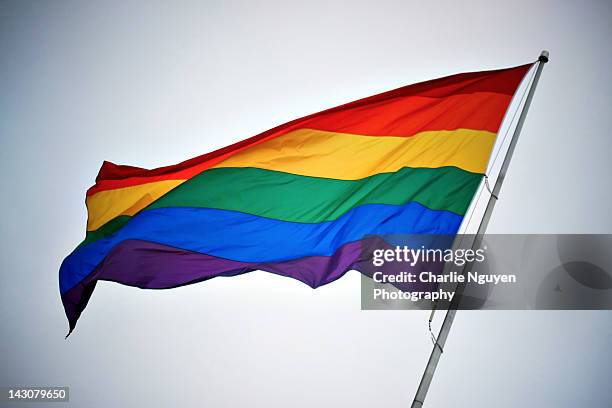 rainbow pride flag - rainbow flag stock pictures, royalty-free photos & images