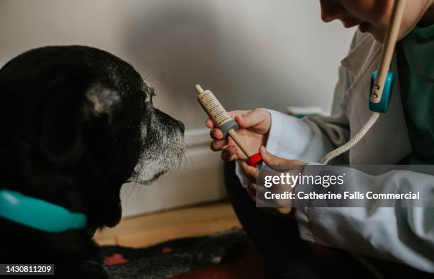 a little girl pretends to be a vet, using a wooden toy veterinary set on her patient old black dog - arzt koffer stock-fotos und bilder