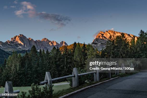 trees by road against sky during autumn,italy - kontrastreich stock pictures, royalty-free photos & images