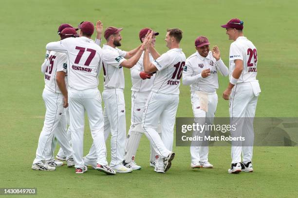 Mark Steketee of Queensland celebrates with team mates the wicket of Tim Ward of Tasmania during the Sheffield Shield match between Queensland Bulls...