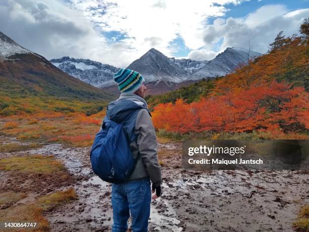 man hiking and looking at the mountains in ushuaia, patagonia - ushuaia stock-fotos und bilder