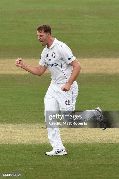 Mark Steketee of Queensland celebrates the wicket of Beau Webster of Tasmania during the Sheffield Shield match between Queensland Bulls and Tasmania...