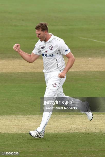 Mark Steketee of Queensland celebrates the wicket of Beau Webster of Tasmania during the Sheffield Shield match between Queensland Bulls and Tasmania...