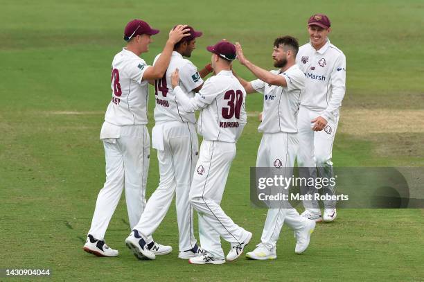 Michael Neser of Queensland celebrates with team mates the wicket of Peter Siddle of Tasmania during the Sheffield Shield match between Queensland...