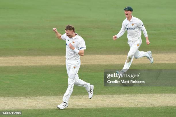 Riley Meredith of Tasmania celebrates the wicket of Matt Renshaw of Queensland during the Sheffield Shield match between Queensland Bulls and...