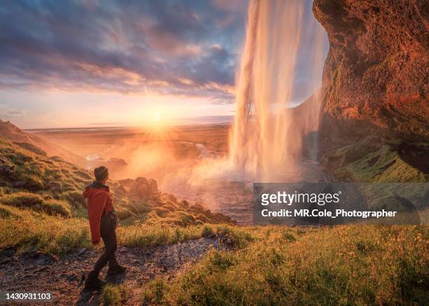 beautiful sunset in the seljalandsfoss iceland, travel and adventure concept - majestic waterfall stock pictures, royalty-free photos & images