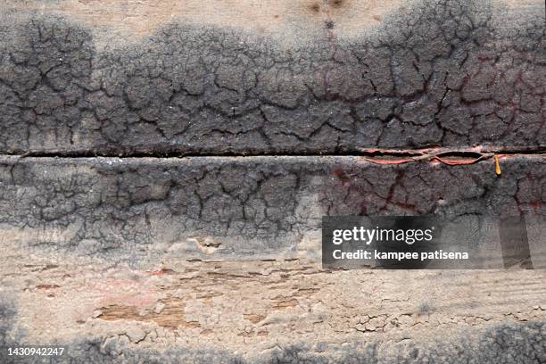 board of wood burned during a fire - broken tree stock pictures, royalty-free photos & images