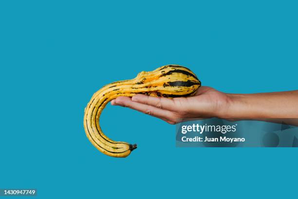 man with a weird squash in his hand - flaccid stock pictures, royalty-free photos & images