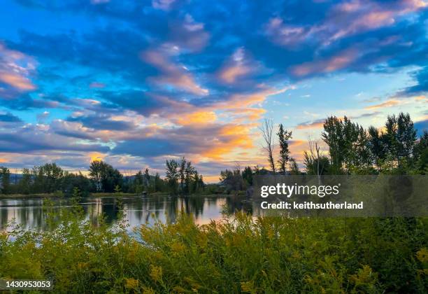 4,190 Tree Line Sunset Stock Photos, High-Res Pictures, and Images ...