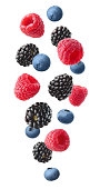 Collection of various falling fresh ripe wild berries isolated on white background. Raspberry, blackberry and blueberry