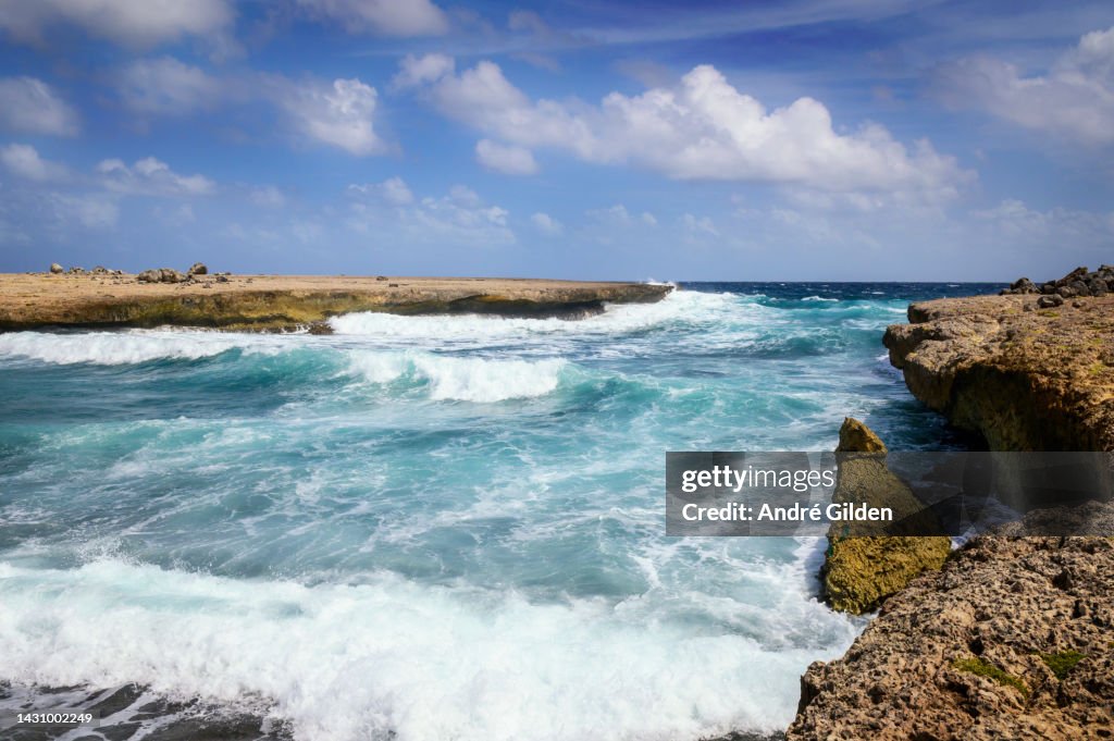 Wild coast Bonaire