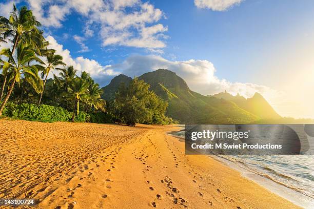 tropical beach - kauai bildbanksfoton och bilder