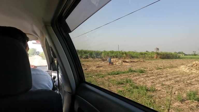 62 Bumpy Car Ride Stock Videos, Footage, & 4K Video Clips - Getty Images