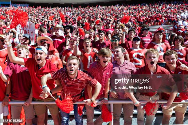 Sad Razorback Fans Donald W Reynolds Razorback Stadium Photos and Premium High Res ...