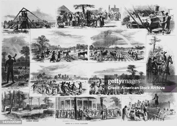 Engraving titled 'Scene on a Cotton Plantation', depicting the 'cotton press', 'ration day', 'the cotton gin', 'the call to labour', 'hoeing',...