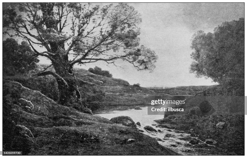 Antique image: "Banks of the Rhone" by Harpignies