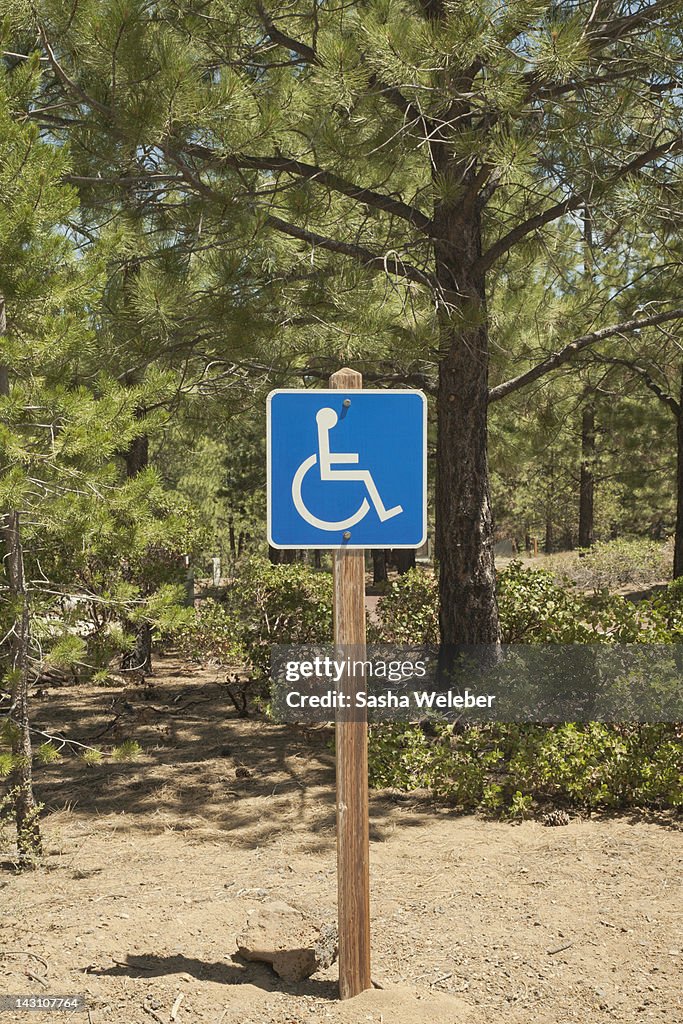 Handicapped parking sign in a park