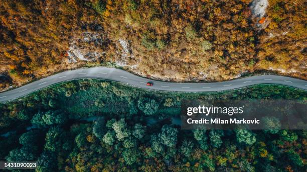 road through the forest - aerial view landscape stock pictures, royalty-free photos & images