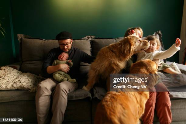 junge glückliche familie mit neugeborenem babysitter auf dem sofa im wohnzimmer - baby hund innenaufnahme stock-fotos und bilder