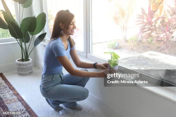 a middle eastern millennial woman with brown hair, places a small plant with a ceramic planter on the window sill while wearing casual clothing. - sitting on window sill stock pictures, royalty-free photos & images