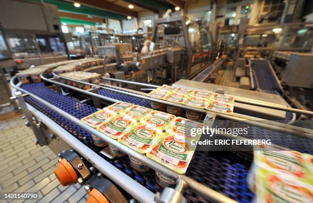 An employee works on a production line at the Yoplait and Candia dairy production plant on May 13, 2008 in Vienne, central France. AFP PHOTO/ ERIC...