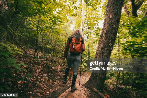 frauen gehen schnell durch den wanderweg - wildnisgebiets name stock-fotos und bilder