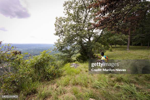 frau sitzt auf felsbrocken und schaut auf die malerische aussicht - wildnisgebiets name stock-fotos und bilder