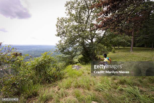 woman sitting on boulder looking at the scenic view - "marilyn nieves" stock pictures, royalty-free photos & images
