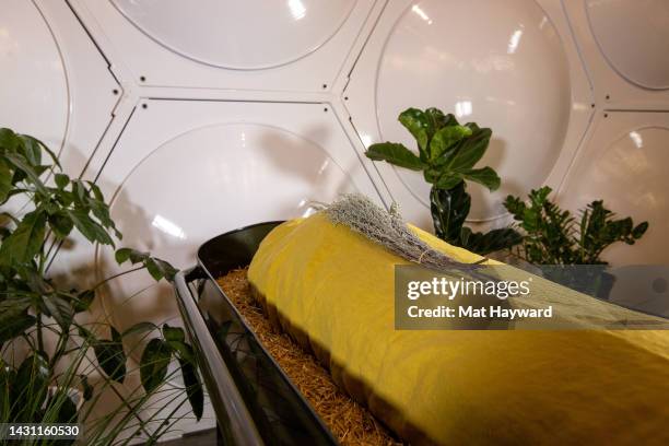 Shrouded mannequin covered with flowers rests near a composting vessel at Recompose, a green funeral home specializing in human composting, also...