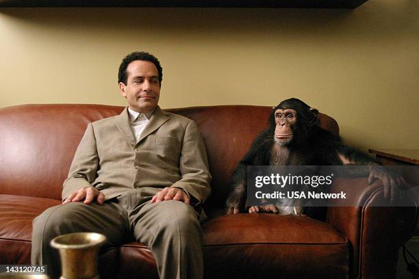 Mr. Monk and the Panic Room" Episode 2 -- Pictured: Tony Shalhoub as Adrian Monk, Mowgli as Darwin the Chimp --