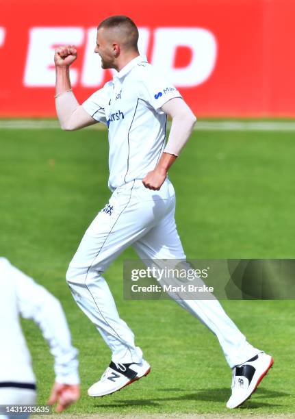 Fergus O'Neill of the Bushrangers celebrates the wicket of Travis Head of the Redbacks during the Sheffield Shield match between South Australia and...