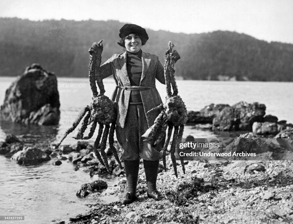 Big Alaskan Crabs