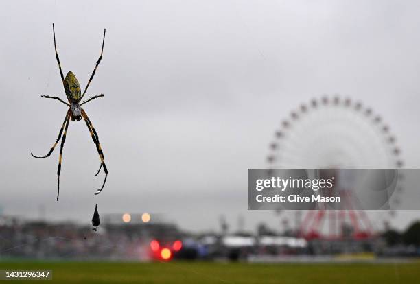 Spider is pictured trackside during practice ahead of the F1 Grand Prix of Japan at Suzuka International Racing Course on October 07, 2022 in Suzuka,...