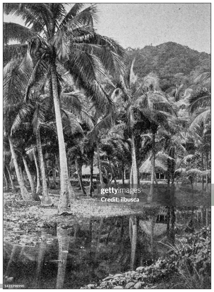 Antikes Bild: Massacre Bay in Tutuila, Amerikanisch-Samoa