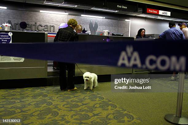 Am Check In American Airlines Check In Photos and Premium High Res Pictures - Getty ...