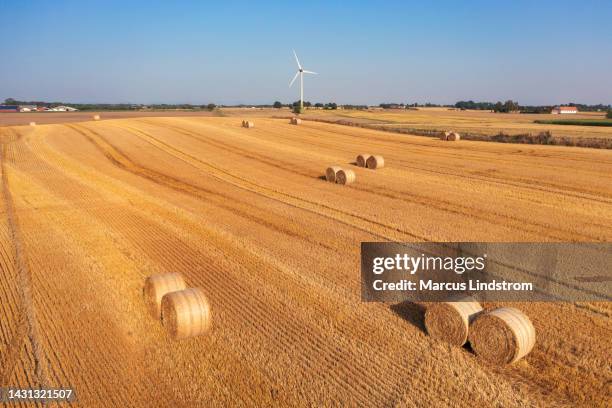 agricultural field of a farm with a wind turbine - bal odlad bildbanksfoton och bilder