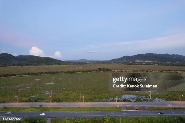 road through the fields at sunset - country road side stock pictures, royalty-free photos & images