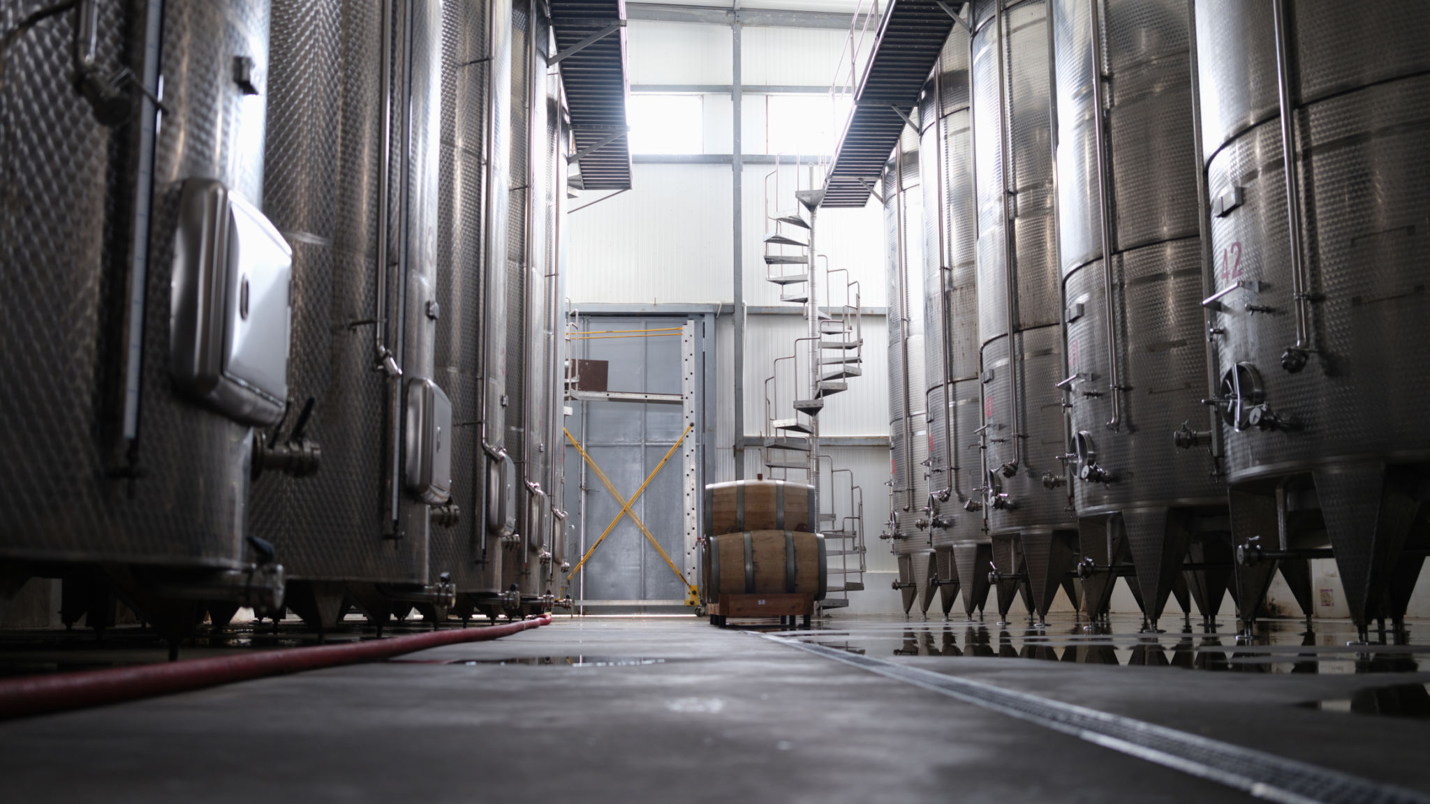 winery fermentation