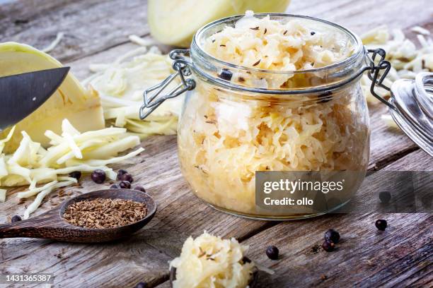 col fermentada en salmuera caseras - col fotografías e imágenes de stock