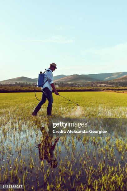 Jean Rice Photos and Premium High Res Pictures - Getty Images